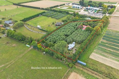 Photo of property in 49 Joblins Road, Levin, 5571