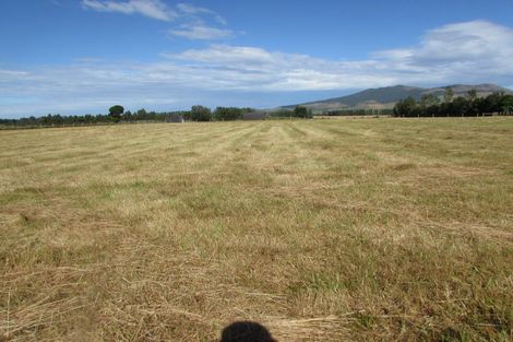 Photo of property in 451 Whiterig Road, Knapdale, Gore, 9773