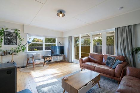 Photo of property in 20 Lowry Street, Richmond, 7020