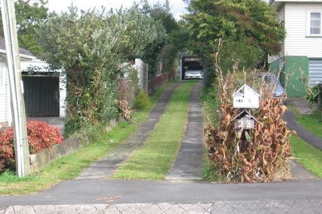 Photo of property in 21 Carey Street, Maeroa, Hamilton, 3200