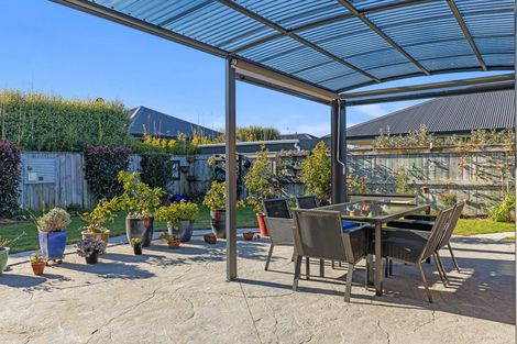 Photo of property in 14 Wilson Street, Renwick, 7204