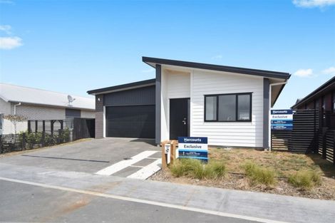 Photo of property in 29 Medway Place, Chartwell, Hamilton, 3210