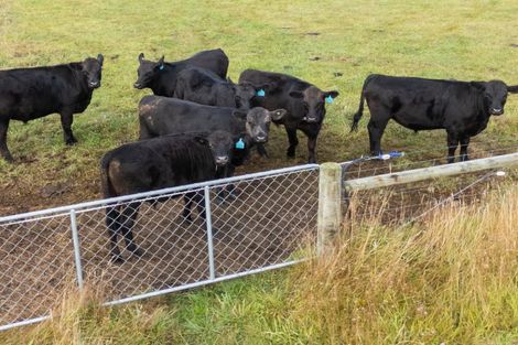 Photo of property in 38 Whitneys Road, Waimate, 7978