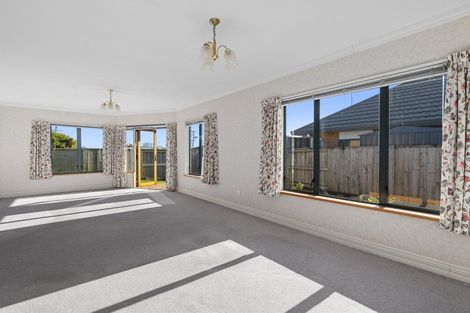 Photo of property in 8c Waimapu Street, Greerton, Tauranga, 3112