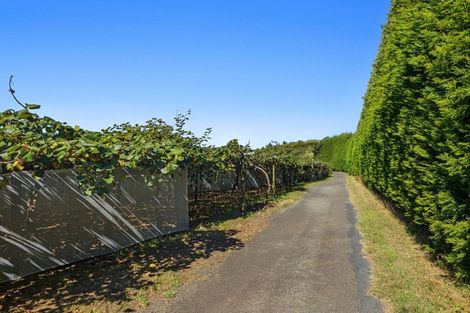 Photo of property in 31 Clark Cross Road, Otara, Opotiki, 3197