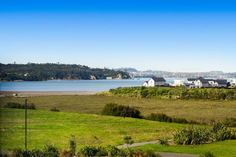 Photo of property in 113 Tahingamanu Road, Hobsonville, Auckland, 0616