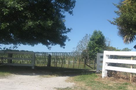 Photo of property in 229 Pongakawa Bush Road, Pongakawa, Te Puke, 3186