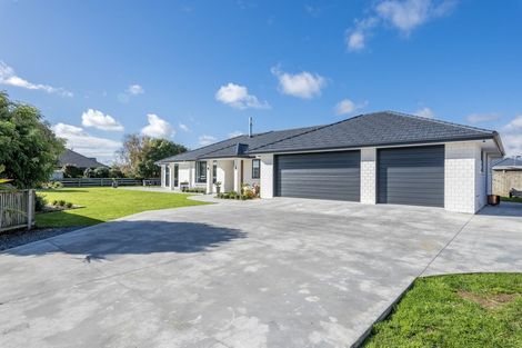 Photo of property in 13 Kilsby Place, Levin, 5510