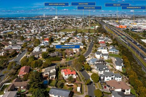 Photo of property in 1 Newport Place, Forrest Hill, Auckland, 0620