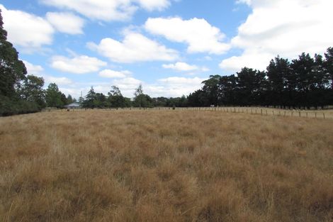 Photo of property in 91 Boundary Road, Upper Plain, Masterton, 5888