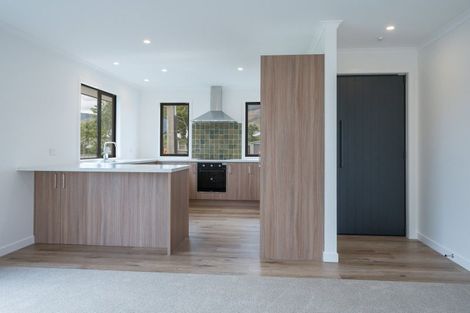 Photo of property in 15b Lowry Street, Richmond, 7020