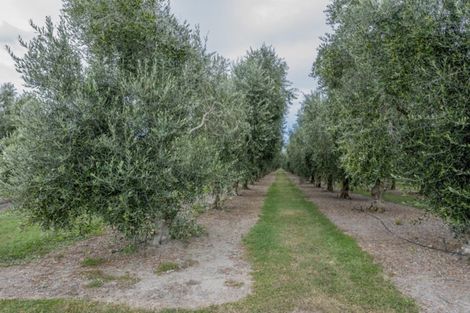 Photo of property in 22 Lethbridge Street, Feilding, 4702