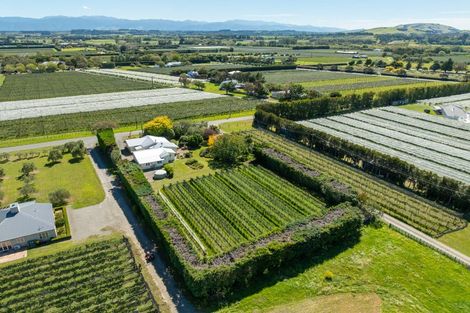 Photo of property in 190 Regent Street, Martinborough, 5711