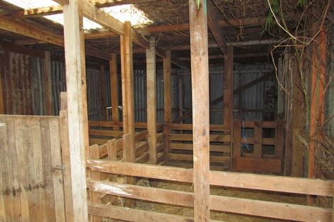 Photo of property in 91 Boundary Road, Upper Plain, Masterton, 5888