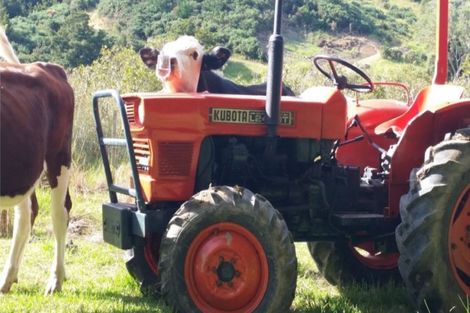 Photo of property in 68 Ranui Road, Karetu, 0283