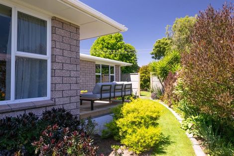 Photo of property in 4 Allen Street, Redwoodtown, Blenheim, 7201