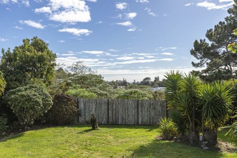 Photo of property in 19 Caledonia Place, Highlands Park, New Plymouth, 4312