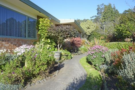 Photo of property in 17 Barry Road, Waihi, 3610