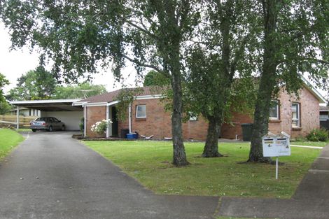 Photo of property in 4 Henry Curd Terrace, Pukekohe, 2120