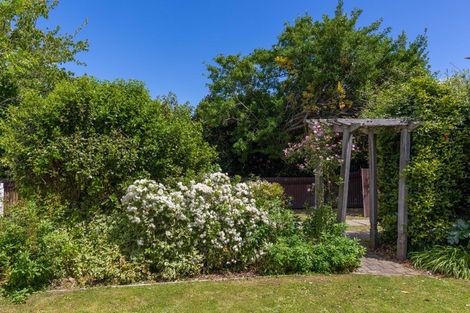 Photo of property in 37 Monro Street, Blenheim, 7201