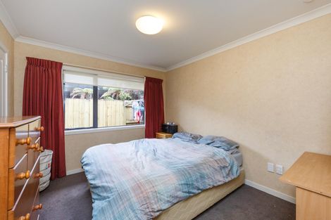Photo of property in 28 Birmingham Street, Takaro, Palmerston North, 4412
