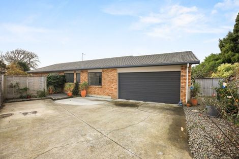 Photo of property in 49a Tranmere Road, Fairfield, Hamilton, 3214