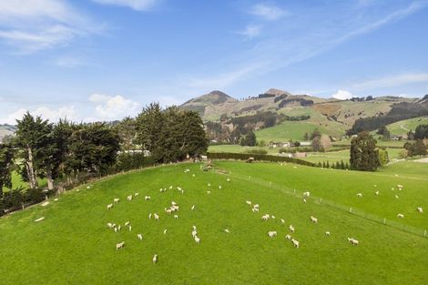 Photo of property in 309 Gladstone Road North, Mosgiel, 9092