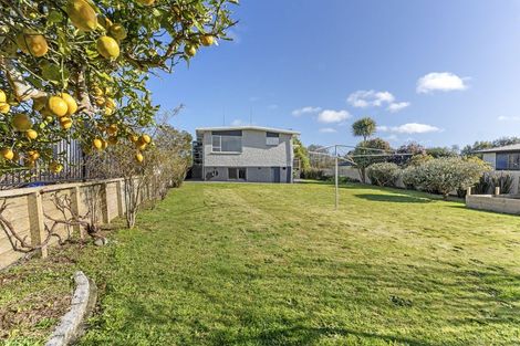 Photo of property in 19 Konini Street, Inglewood, 4330