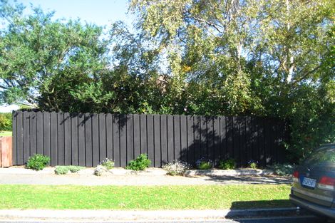 Photo of property in 187 Burt Street, Wakari, Dunedin, 9010