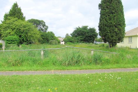 Photo of property in 5 Ward Street, Waharoa, 3401