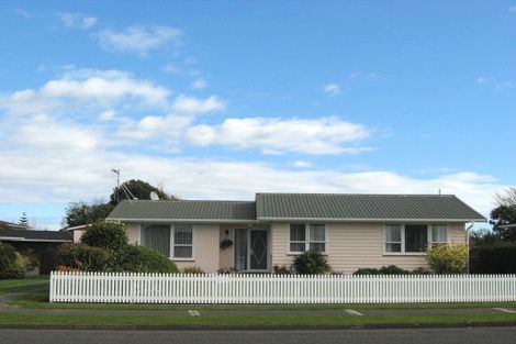 Photo of property in 50 Kennedy Drive, Levin, 5510