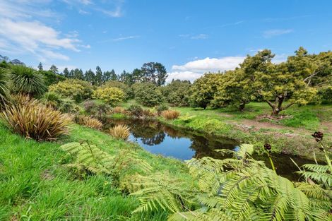 Photo of property in 39 Hot Springs Road, Tahawai, Katikati, 3178