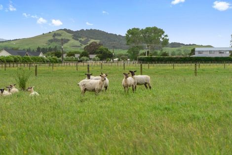 Photo of property in 74 Awakino Point Road East, Awakino Point, Dargaville, 0372