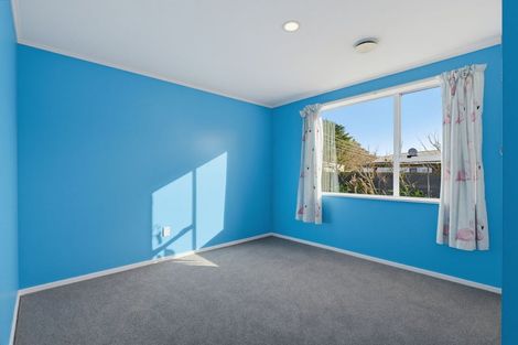 Photo of property in 19 Taumutu Road, Southbridge, 7602