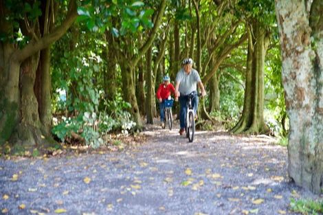 Photo of property in 13 Sunny Glen, Waikanae, 5036