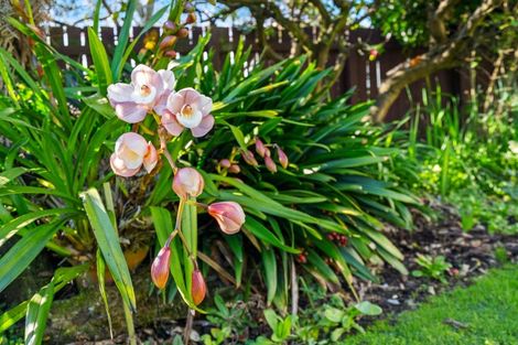 Photo of property in 269 Songer Street, Stoke, Nelson, 7011