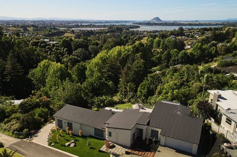 Photo of property in 38 Holcombrooke Lane, Welcome Bay, Tauranga, 3175
