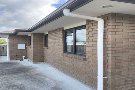 Photo of property in 20a Camden Street, Feilding, 4702