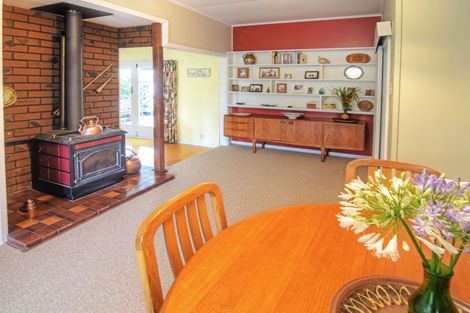 Photo of property in 46 Cornwall Street, Masterton, 5810