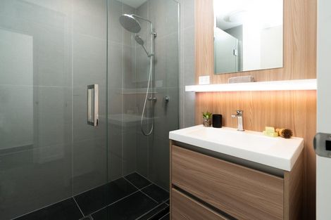 Photo of property in 27c Thompson Street, Mount Cook, Wellington, 6011