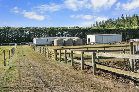 Photo of property in 388 Waireka Road, Darfield, 7571