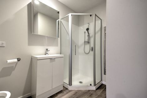 Photo of property in 18 Village Quarter Lane, Frankton, Hamilton, 3204