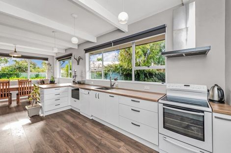 Photo of property in 28 Taumutu Road, Southbridge, 7602