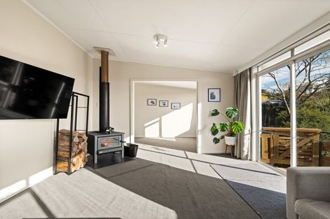Photo of property in 163 Sidey Street, Calton Hill, Dunedin, 9012