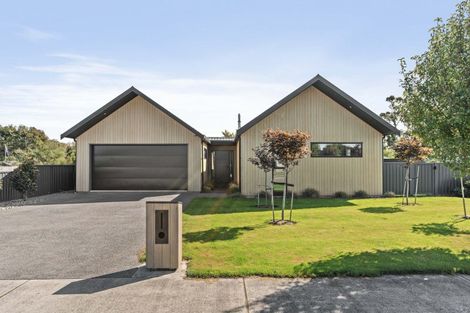 Photo of property in 61 Miro Street, Lansdowne, Masterton, 5810