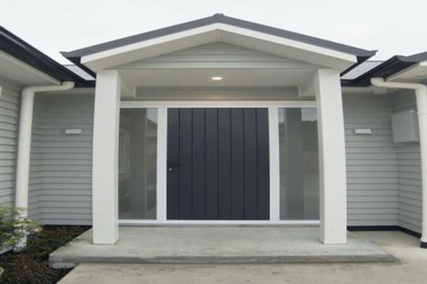 Photo of property in 24b Manson Street, Terrace End, Palmerston North, 4410
