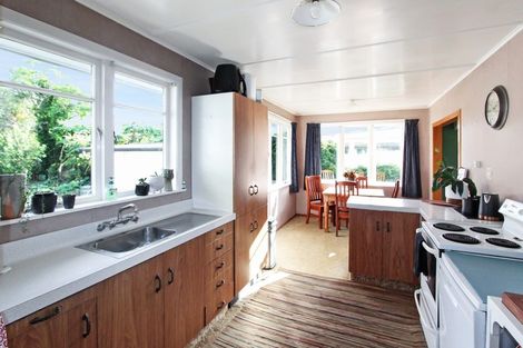 Photo of property in 45 Tararua Street, Pahiatua, 4910