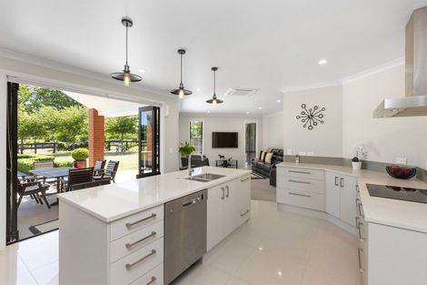 Photo of property in 854b Tauwhare Road, Tauwhare, Hamilton, 3287