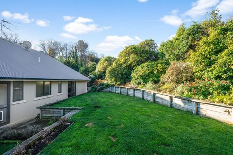 Photo of property in 67 Every Street, Andersons Bay, Dunedin, 9013
