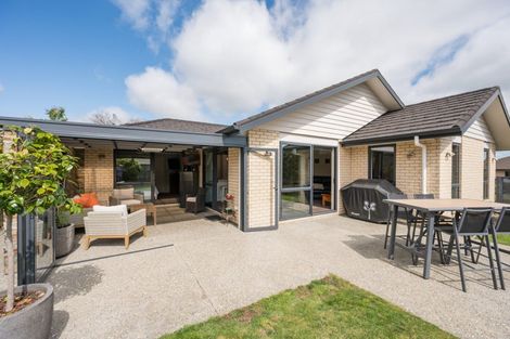 Photo of property in 17 Harriet Court, Richmond, 7020